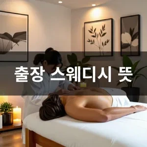 출장스웨디시뜻.webp